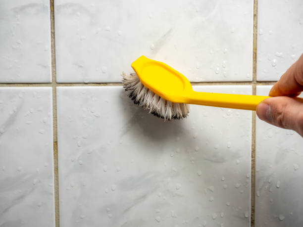 Best Affordable Mold Removal  in Oronogo, MO