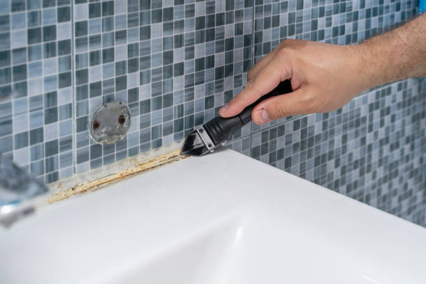 Best Emergency Mold Removal  in Oronogo, MO