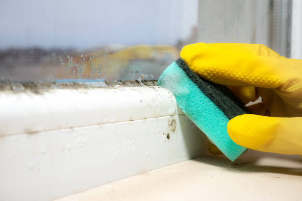 Best Mold Testing  in Oronogo, MO